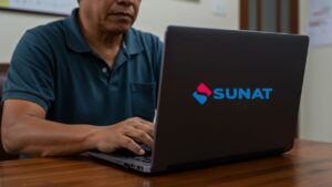 Consulta RUC SUNAT guía