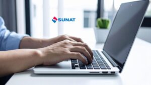 Consulta RUC SUNAT identifica tu problema