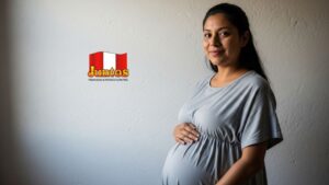 Programa Juntos qué es